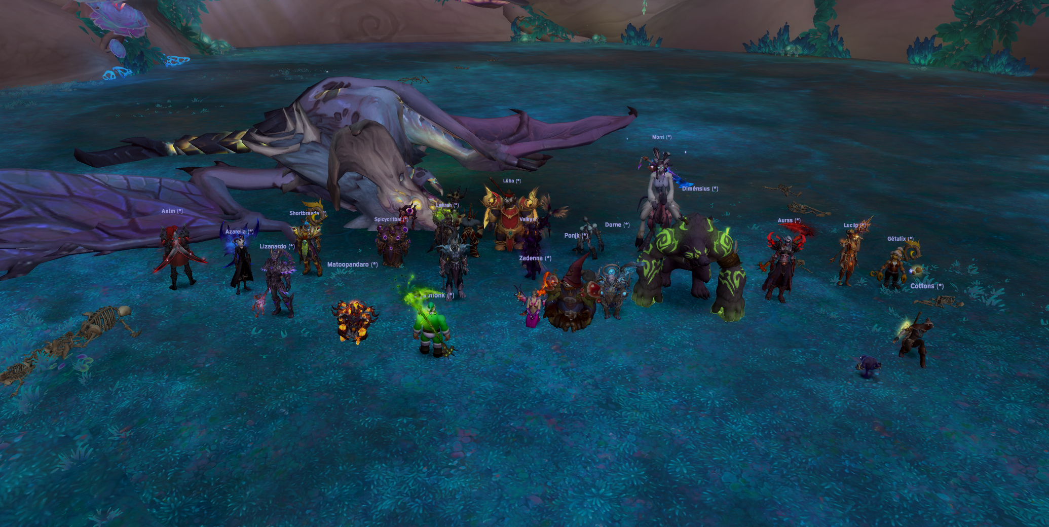 Chimaerus Down! 2/6 (M) 1/1 (M) 1/2 (H)